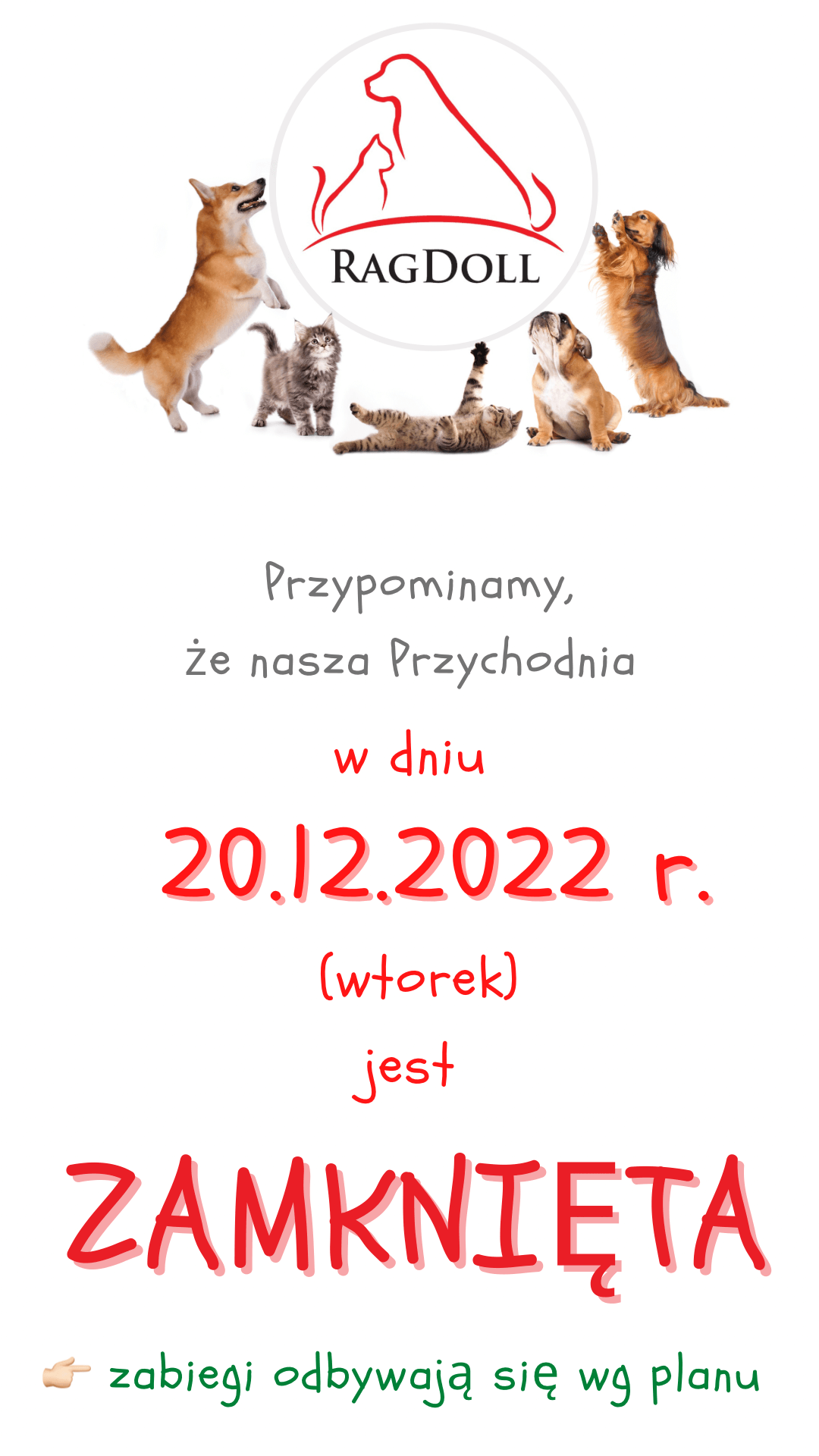 Przychodnia Zamknięta 20122022 Weterynarz Stargard Przychodnia Weterynaryjna Dla Zwierząt 3747