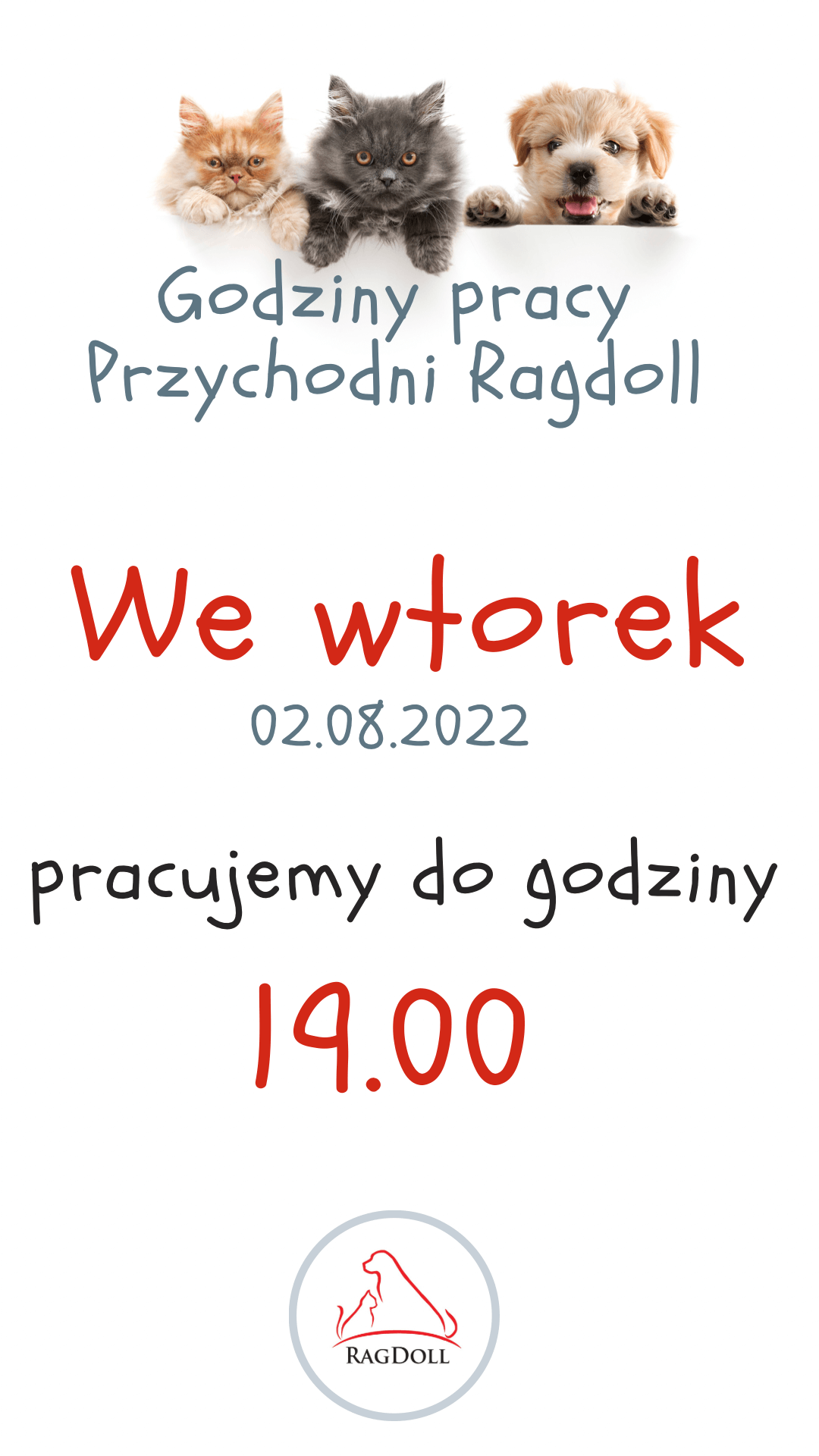 Godziny Otwarcia Przychodni Ragdoll Weterynarz Stargard Przychodnia Weterynaryjna Dla Zwierząt 0106