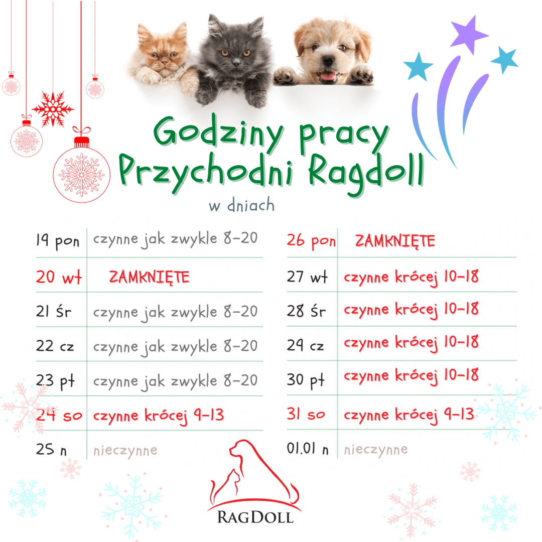 Godziny Pracy Przychodni Ragdoll 19122022 01012023 Weterynarz Stargard Przychodnia 5076